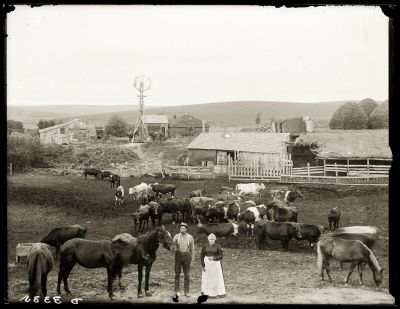 Iconic_Sodbusters_of_the_Prairie_D_D_Teoli_Jr__A_C__2818829.jpg