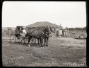 Iconic_Sodbusters_of_the_Prairie_D_D_Teoli_Jr__A_C__2814529.jpg