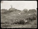 Iconic_Sodbusters_of_the_Prairie_D_D_Teoli_Jr__A_C__2818529.jpg